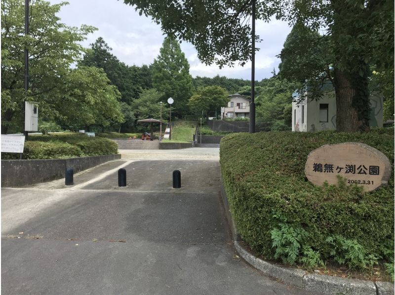 【静岡・富士】スリル満点！経験者におすすめ♪富士山のふもとで半日キャニオニング体験ツアー！の紹介画像