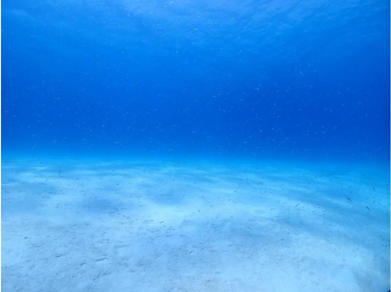 [Okinawa, Ishigaki Island] Half-day boat charter! Relaxing time at sea without worrying about the surroundingsの紹介画像