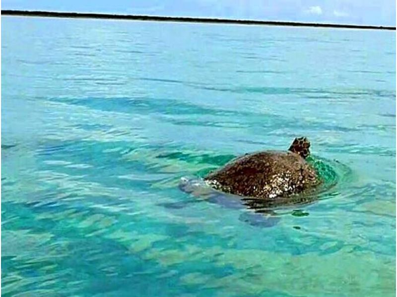 【久米島・堀之浜】包含交通的無限暢玩海上運動套餐。只有皇家海軍提供無限暢玩套餐！の紹介画像
