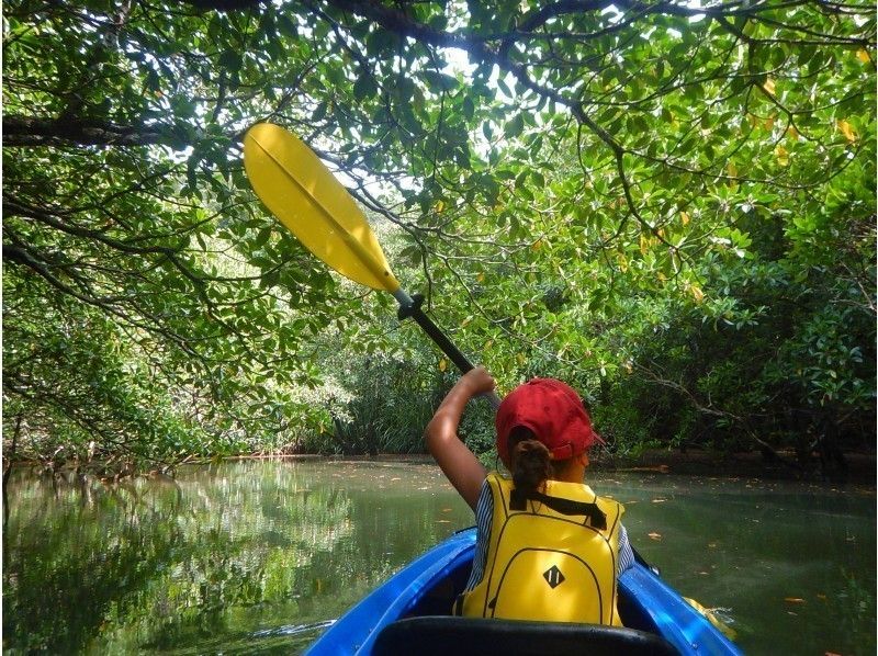 西表岛的红树林是什么？全面介绍独木舟、皮划艇、SUP 推荐游轮之旅！