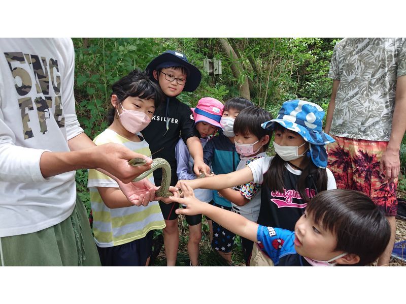 [東京調布]暑假平日集訓@調布@三浦@富士山之旅（含13餐）及兒童保育自然體驗之旅（單人低價）の紹介画像