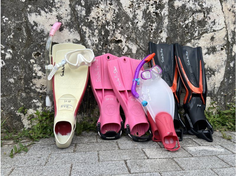 ＼那覇から送迎付きでお得に潜ろう☆／中部・砂辺　ビーチ体験ダイビングの紹介画像