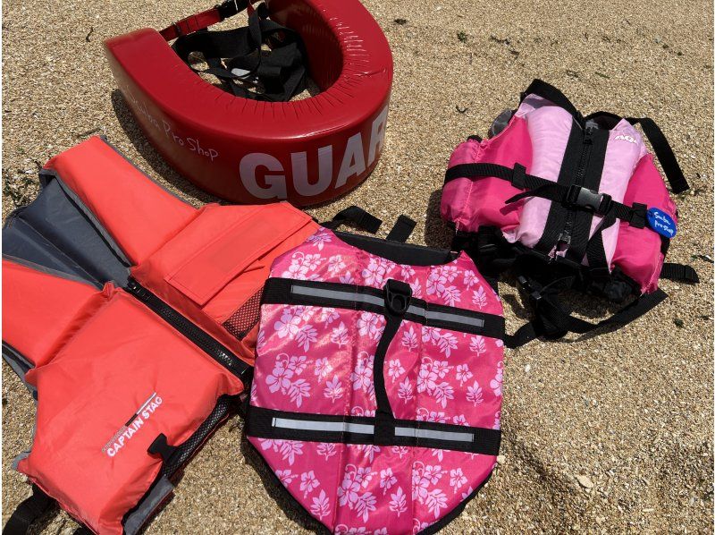 【沖縄本島・ゴリラチョップ】ペット同伴できるシュノーケリングで沖縄の海を楽しもう！の紹介画像