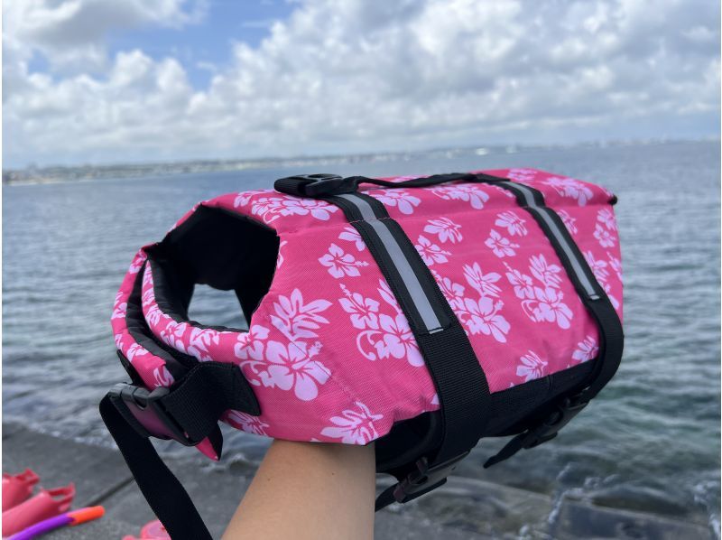 【沖縄本島・ゴリラチョップ】ペット同伴できるシュノーケリングで沖縄の海を楽しもう！の紹介画像