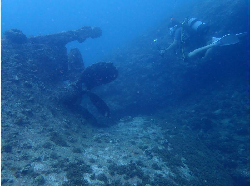 【沖縄本島・宜野湾周辺】空港・ホテル送迎付きのボートダイビングで一日満喫！の紹介画像