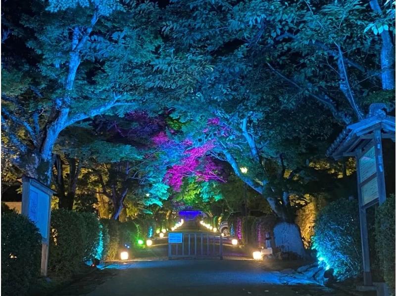 【滋賀・大津】びわ湖大津〈夕涼みライトアップバスツアー〉の紹介画像