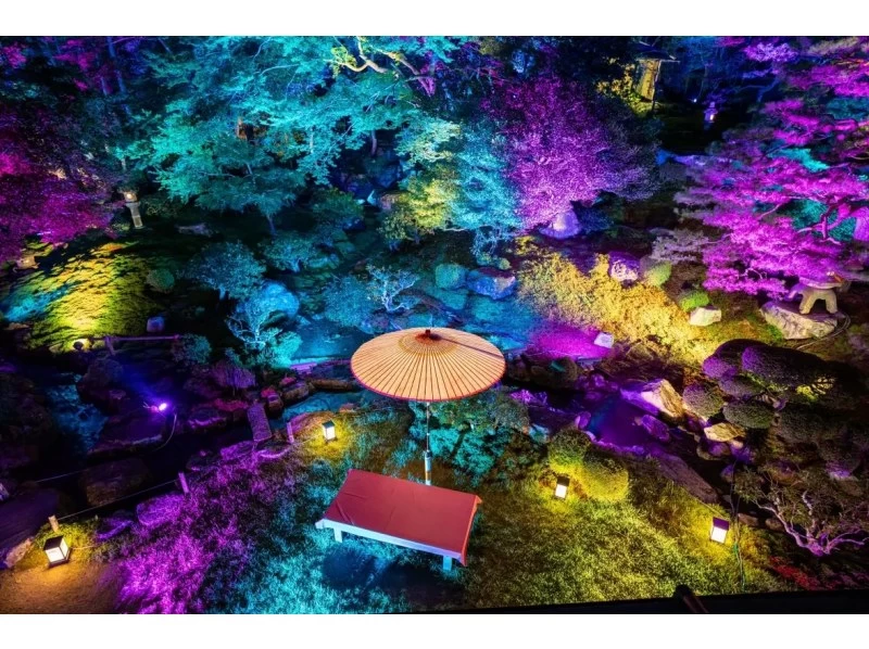 【滋賀・大津】びわ湖大津〈夕涼みライトアップバスツアー〉の紹介画像