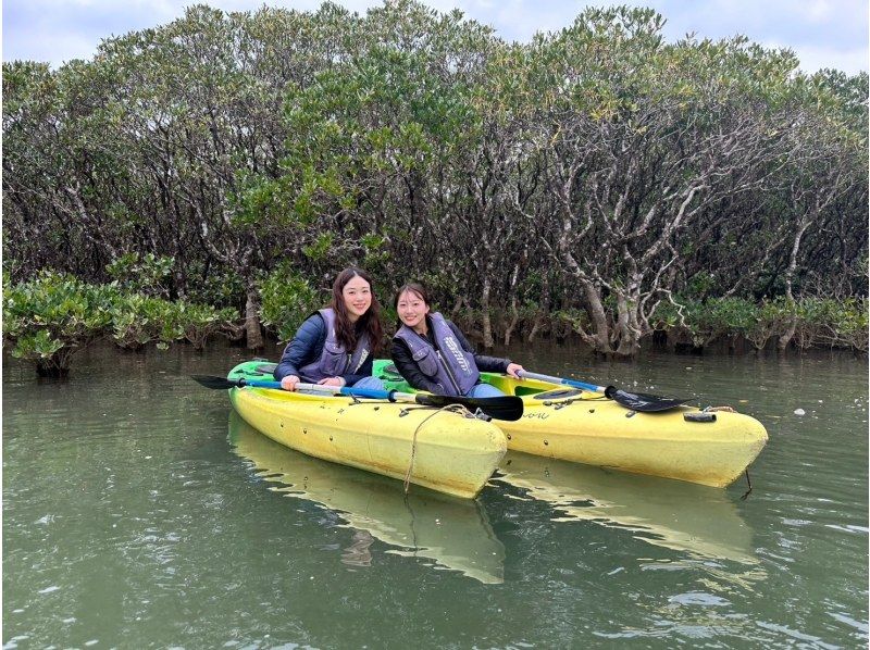 奄美大島【当日予約可能】SUP＋マングローブカヌー（120分）【お得なセットプラン】☆ドローン空撮等写真の無料プレゼントあり☆の紹介画像
