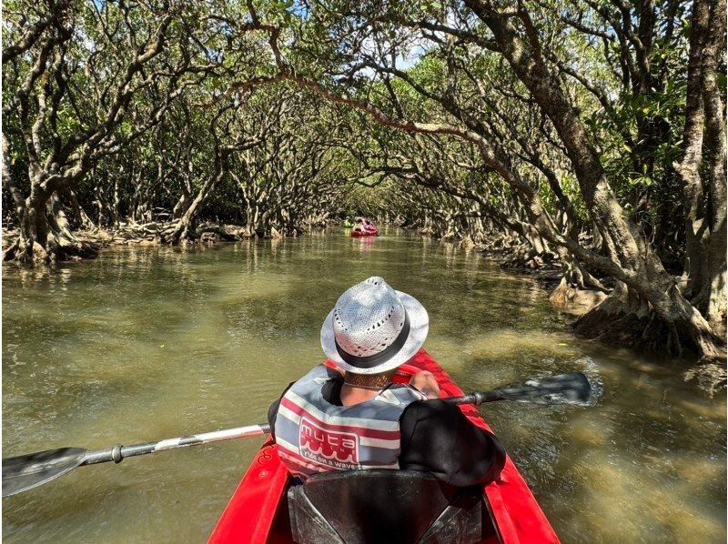 奄美大島【当日予約可能】SUP＆マングローブカヌー（120分）【お得なセットプラン】☆ドローン空撮等写真の無料プレゼントあり☆の紹介画像