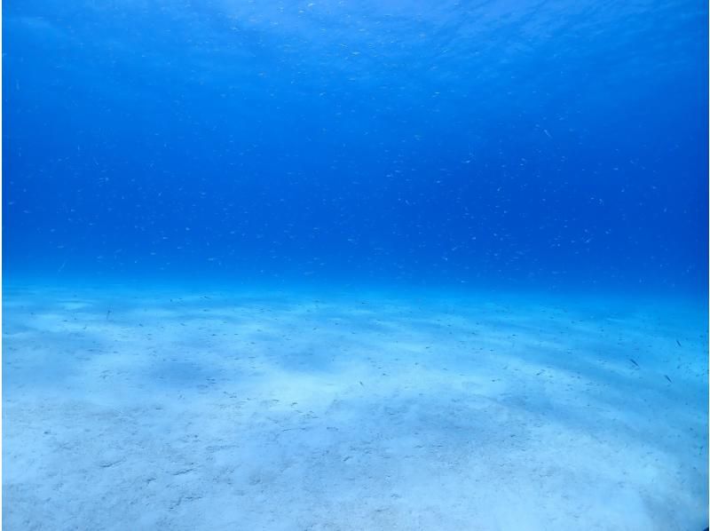 [Ishigaki Island/Half-day] Enjoy Ishigaki Island's ocean privately with peace of mind, even for beginners and families with small children!の紹介画像