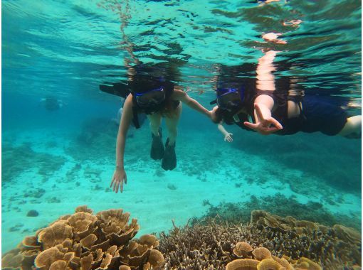 奄美大島【当日予約可能】シュノーケル&ナイトツアー(180分)【お得なセットプラン】★口コミ投稿でGoProドローン撮影データプレゼント★ 奄美大島【当日予約可能】シュノーケル&ナイトツアー(180分)【お得なセットプラン】★口コミ投稿でGoProドローン撮影データプレゼント★