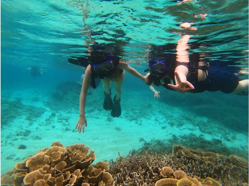 奄美大島【当日予約可能】シュノーケル＋ナイトツアー(180分)【お得なセットプラン】★口コミ投稿でGoProドローン撮影データプレゼント★の紹介画像