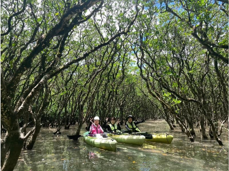 奄美大島【当日予約可能】シュノーケル＆マングローブカヌー(120分)【お得なセットプラン】★口コミ投稿でドローン等撮影データ無料プレゼント★の紹介画像