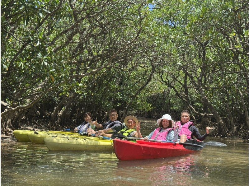 奄美大島【当日予約可能】シュノーケル＆マングローブカヌー(120分)【お得なセットプラン】★口コミ投稿でドローン等撮影データ無料プレゼント★の紹介画像