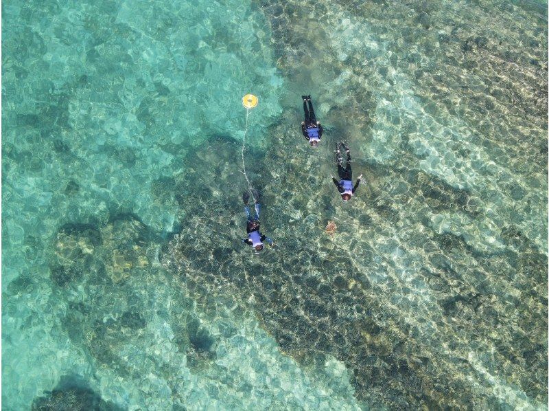 奄美大島【当日予約可能】SUP+シュノーケル+ナイトツアー（240分）【お得なセットプラン】★ドローン空撮等写真のプレゼントあり★の紹介画像