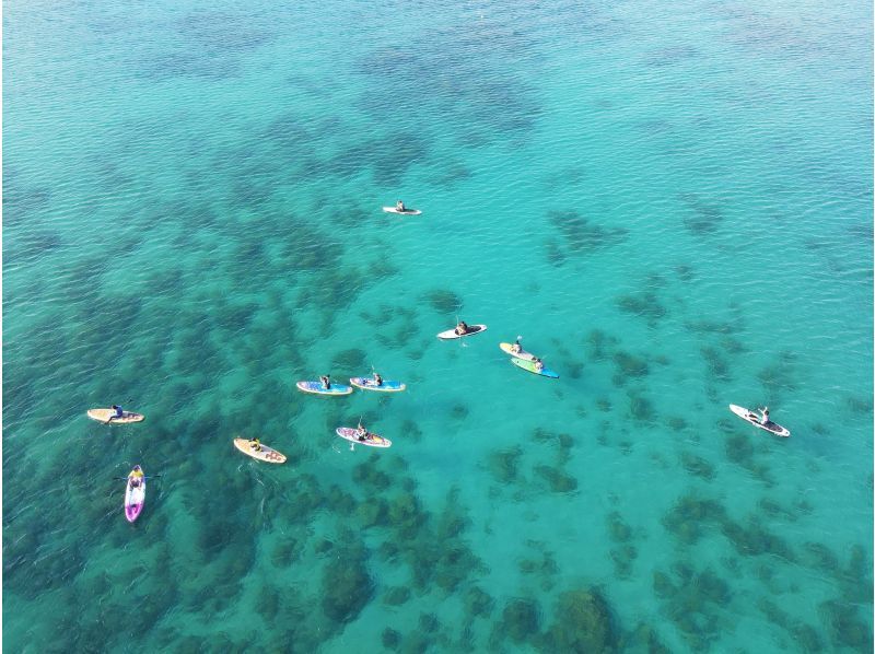 奄美大島【当日予約可能】SUP+シュノーケル+ナイトツアー（240分）【お得なセットプラン】★ドローン空撮等写真のプレゼントあり★の紹介画像