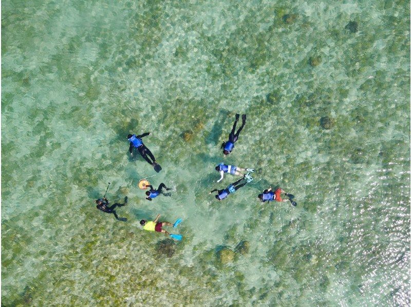 奄美大島【当日予約可能】SUP+シュノーケル+ナイトツアー（240分）【お得なセットプラン】★ドローン空撮等写真のプレゼントあり★の紹介画像