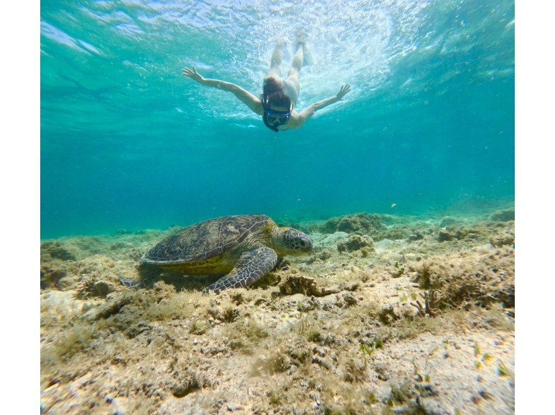 奄美大島【当日予約可能】SUP+シュノーケル+ナイトツアー（240分）【お得なセットプラン】★ドローン空撮等写真のプレゼントあり★の紹介画像