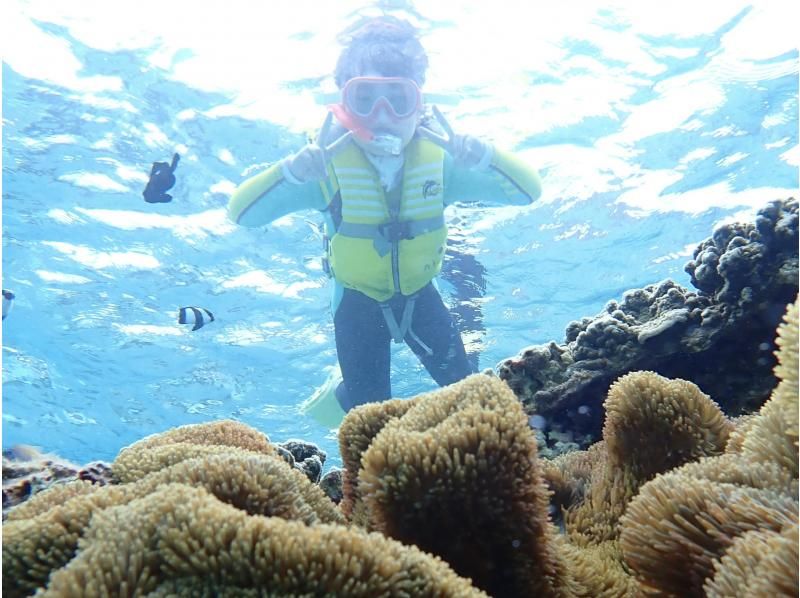 [富山縣射水市]推薦獨立研究！富山海域浮潛與製程體驗の紹介画像