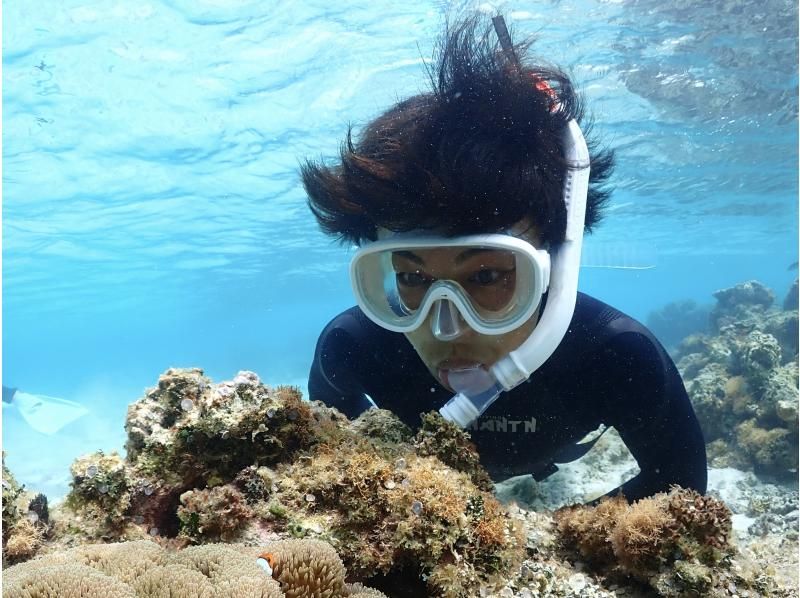 [富山縣射水市]推薦獨立研究！富山海域浮潛與製程體驗の紹介画像