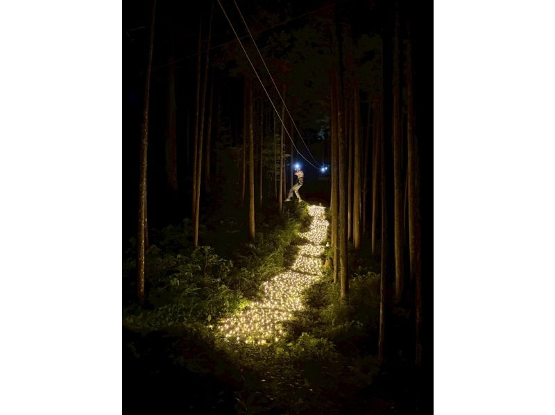 【神奈川・小田原】夏休みだけ特別な「ナイトアドベンチャー！」夜の森を飛びまわる☆の紹介画像