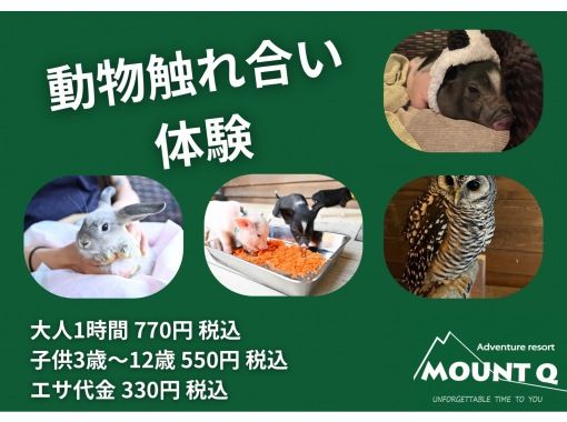 【和歌山・御坊】アニマル触れ合い体験 【和歌山・御坊】アニマル触れ合い体験