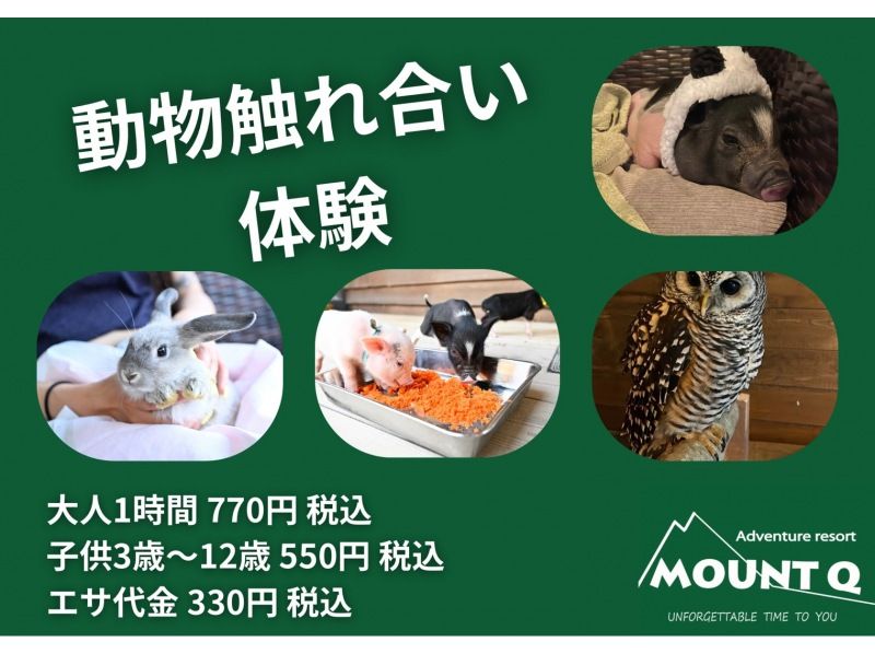 【和歌山・御坊】アニマル触れ合い体験の紹介画像