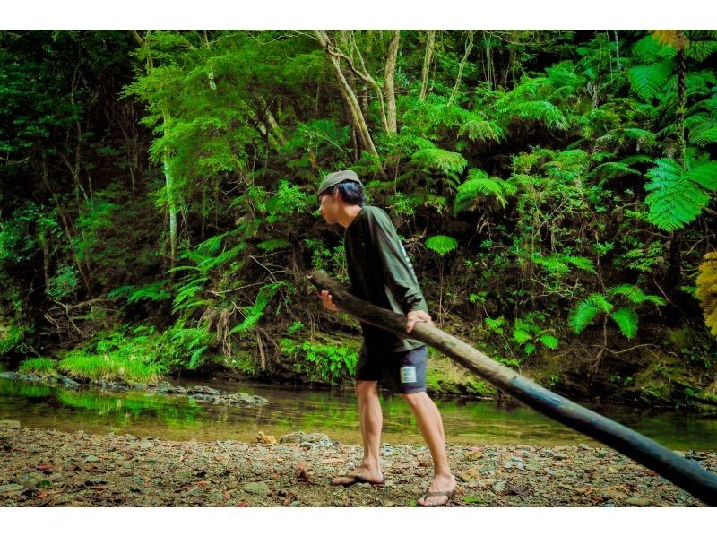 【冲绳・山原】在偏远的亚热带地区体验丛林露营！只有夜晚才能空手而归，体验山原的原始自然风光！の紹介画像