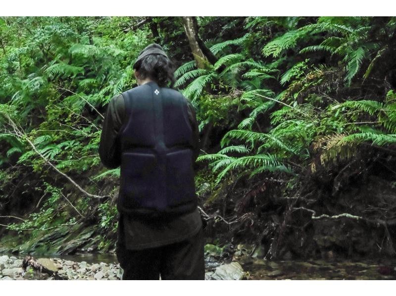【冲绳山原】丛林生存入门：一日生存体验！能空手体验山原的隐秘之地，真正体验大自然的地方，只有夜晚！の紹介画像