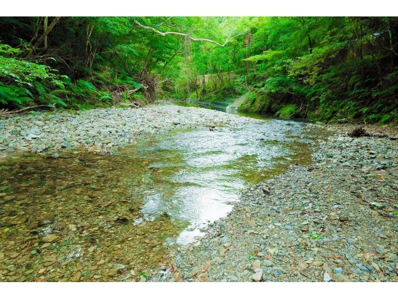 【冲绳山原】丛林生存入门：一日生存体验！能空手体验山原的隐秘之地，真正体验大自然的地方，只有夜晚！の紹介画像