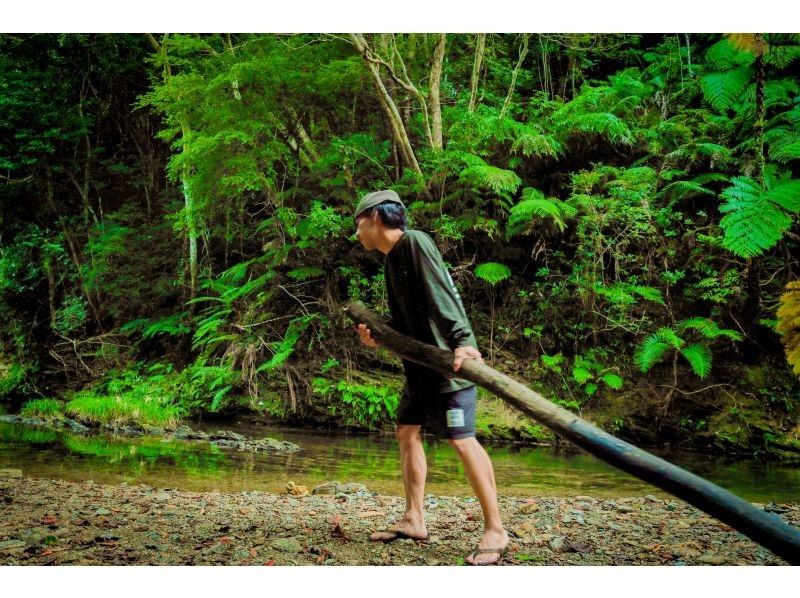 【冲绳山原】丛林生存入门：一日生存体验！能空手体验山原的隐秘之地，真正体验大自然的地方，只有夜晚！の紹介画像