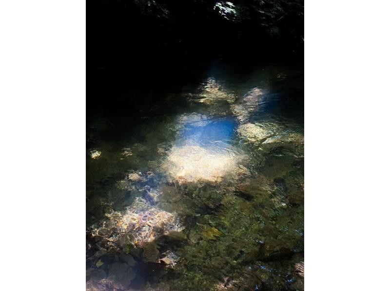 [冲绳山原]亚热带自然河流徒步旅行让我们探索山原的隐秘区域！の紹介画像
