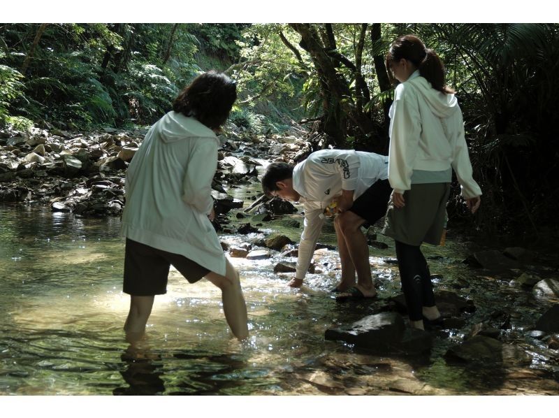 【沖縄・やんばる】サクッと秘境！やんばる亜熱帯探検！1人では辿り着けない！？やんばるの奥深くを一緒に探検しませんか？秘境でコーヒーも楽しめるの紹介画像