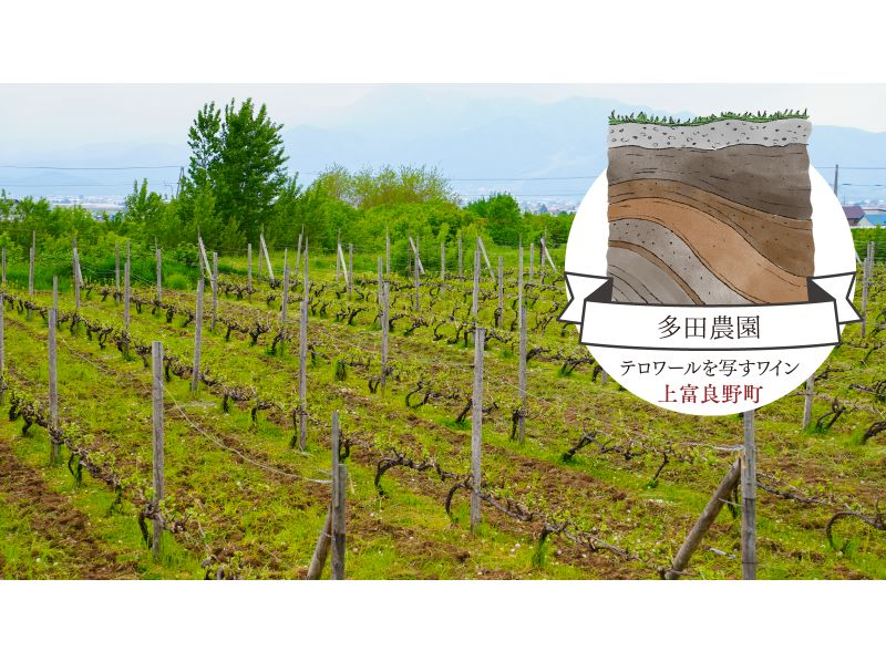 [Hokkaido, Furano] Taxi tour (shared ride) around two wineries in the Furano area. Lots of perks, limited time offer, great for girls' trips and couples' trips.の紹介画像