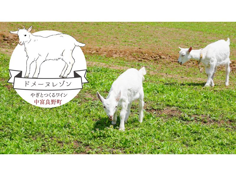 [Hokkaido, Furano] Taxi tour (shared ride) around two wineries in the Furano area. Lots of perks, limited time offer, great for girls' trips and couples' trips.の紹介画像