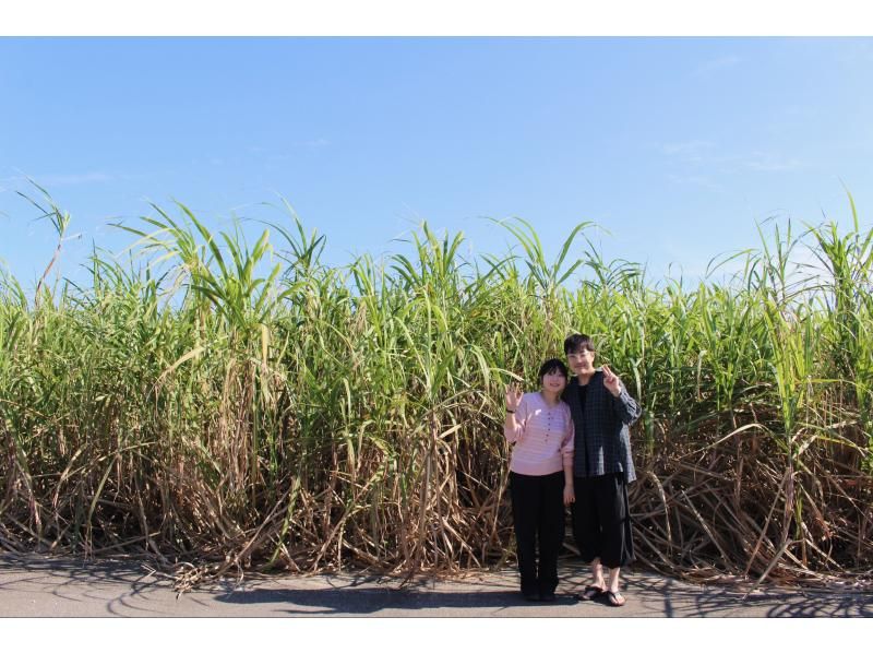 【宮古島・送迎付き】宮古島内周遊観光フォトツアー2.5時間《完全送迎付きプラン》現地ガイド付きで安心！★ドローン撮影オプションあり★の紹介画像