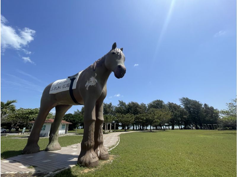 【宫古岛 - 含交通】★可选无人机摄影★ 2.5小时宫古岛观光摄影之旅（含全程交通）当地导游，让您安心无忧！の紹介画像