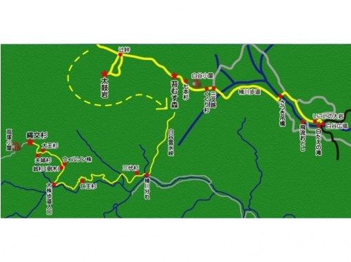 鹿児島 屋久島 ２つを同時に楽しむ白谷雲水峡 縄文杉コース 3月 11月限定 健脚者 上級者向け アクティビティジャパン