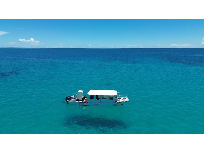 [Private Charter] Ishigaki Island All-Inclusive Boat Charter / Trial Diving, Fun Diving, Snorkeling, Fishing, etc. {1-Day Plan}の紹介画像