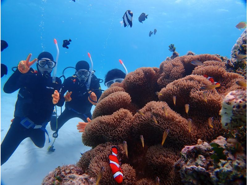 [Private Charter] Ishigaki Island All-Inclusive Boat Charter / Trial Diving, Fun Diving, Snorkeling, Fishing, etc. {1-Day Plan}の紹介画像