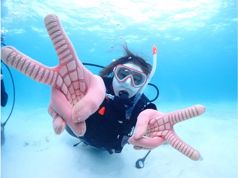 [Private Charter] Ishigaki Island All-Inclusive Boat Charter / Trial Diving, Fun Diving, Snorkeling, Fishing, etc. {1-Day Plan}の紹介画像