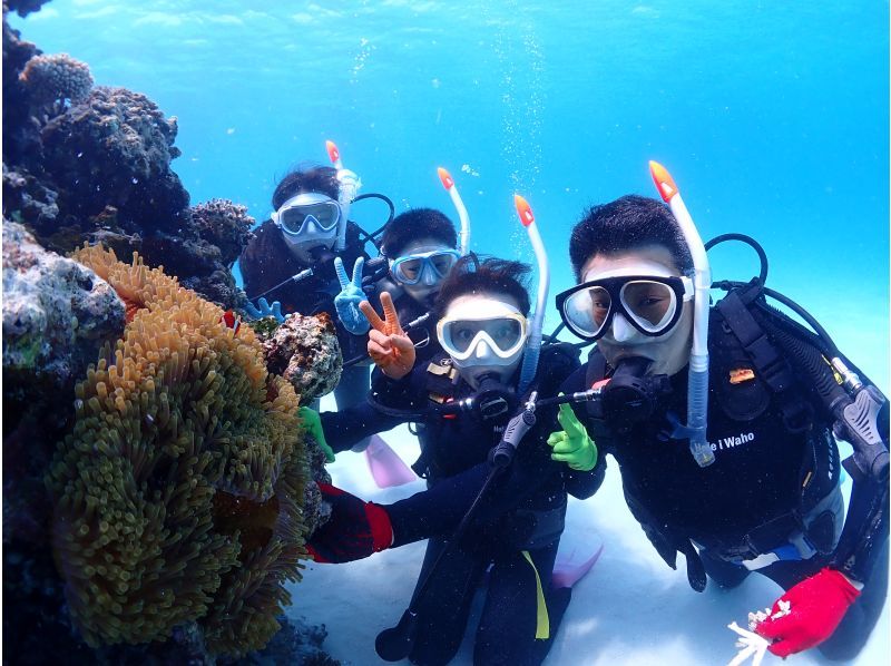 [Private Charter] Ishigaki Island All-Inclusive Boat Charter / Trial Diving, Fun Diving, Snorkeling, Fishing, etc. {1-Day Plan}の紹介画像