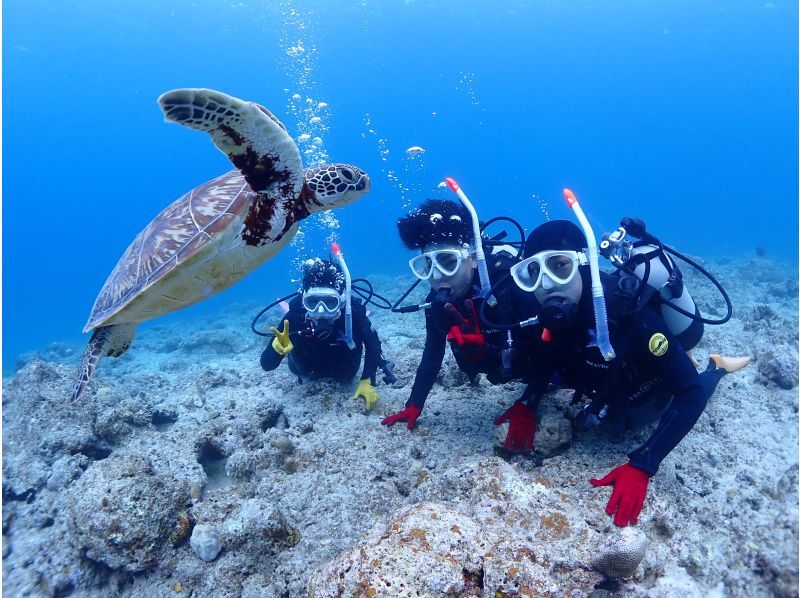 [Private Charter] Ishigaki Island All-Inclusive Boat Charter / Trial Diving, Fun Diving, Snorkeling, Fishing, etc. {1-Day Plan}の紹介画像