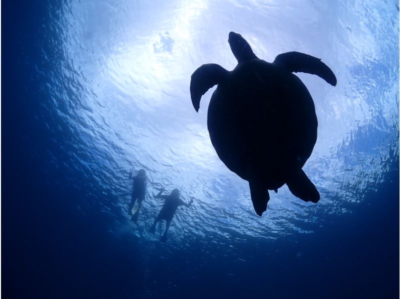 [Private Charter] Ishigaki Island All-Inclusive Boat Charter / Trial Diving, Fun Diving, Snorkeling, Fishing, etc. {1-Day Plan}の紹介画像