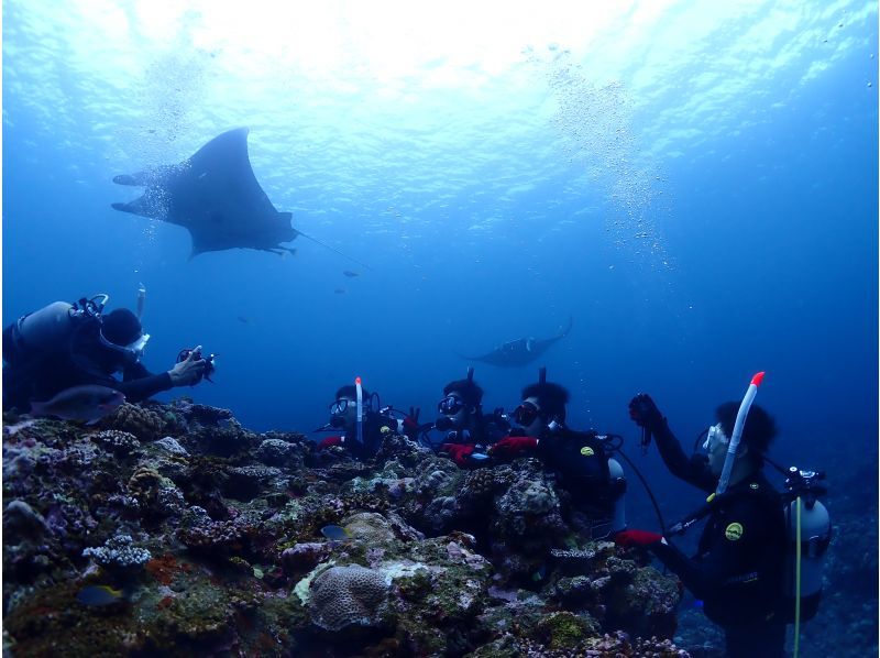 [Private Charter] Ishigaki Island All-Inclusive Boat Charter / Trial Diving, Fun Diving, Snorkeling, Fishing, etc. {1-Day Plan}の紹介画像