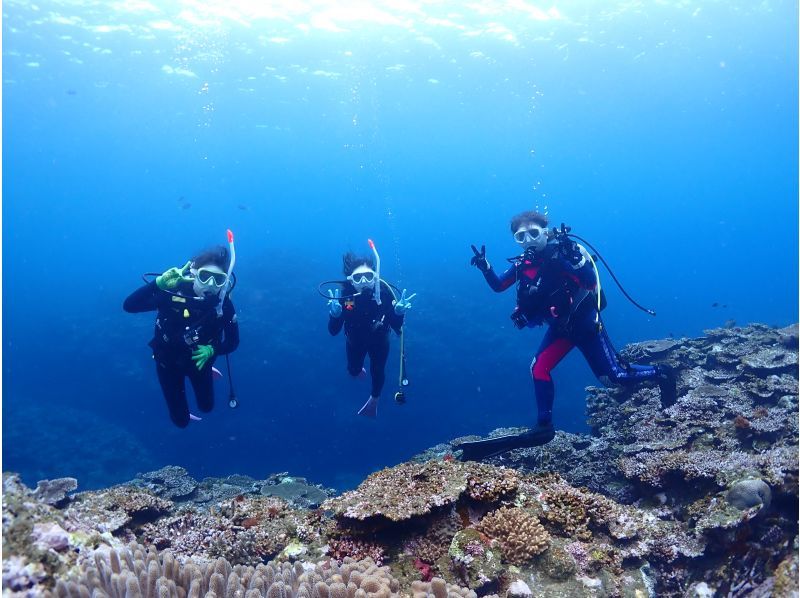 [Private Charter] Ishigaki Island All-Inclusive Boat Charter / Trial Diving, Fun Diving, Snorkeling, Fishing, etc. {1-Day Plan}の紹介画像