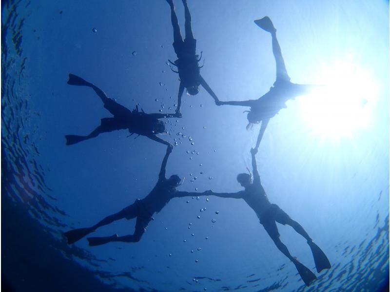 [Private Charter] Ishigaki Island All-Inclusive Boat Charter / Trial Diving, Fun Diving, Snorkeling, Fishing, etc. {1-Day Plan}の紹介画像
