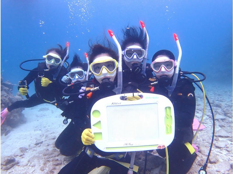 [Private Charter] Ishigaki Island All-Inclusive Boat Charter / Trial Diving, Fun Diving, Snorkeling, Fishing, etc. {1-Day Plan}の紹介画像