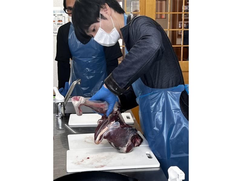 [Akita/Kitaakita] "Deer meat butchering experience" For hunters, cooks, and children's nutrition education! Butcher and taste the game on the spotの紹介画像
