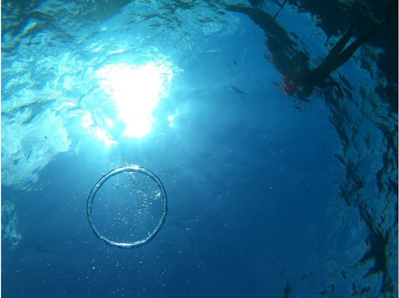 【石垣島・午前8:00〜ボート】幻の島上陸＆2ポイントシュノーケリングツアー〈ドローン・GoPro撮影付き〉の紹介画像